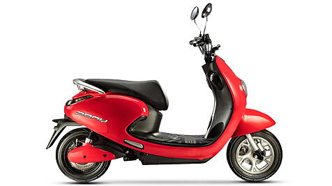 Evolet pony