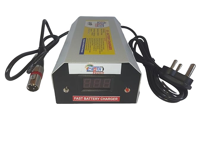 Hero electric scooter battery charger 48v