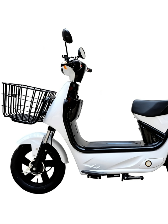 Hcd Electric Scooter NPS Cargo Just – Rs.80850*